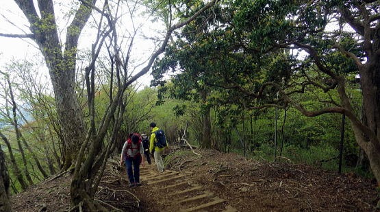 2019.5.6　丹沢大山（尾根歩き）