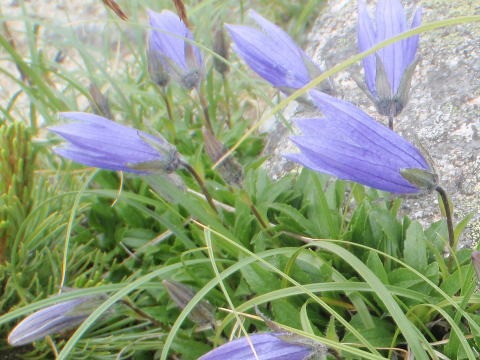 2012.7.28-29 正沢川細尾沢(沢登り)