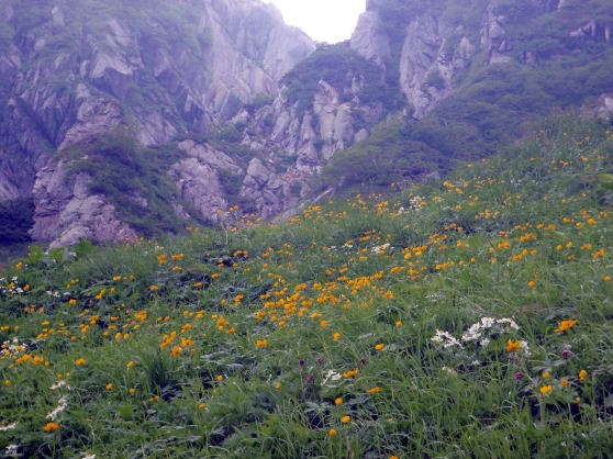 2012.7.28-29 正沢川細尾沢(沢登り)