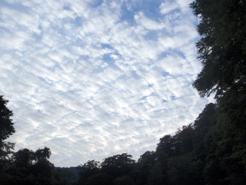 2012.8.11-14 和賀・生保内川(沢登り)