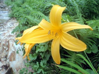 2012.8.11-14 和賀・生保内川(沢登り)