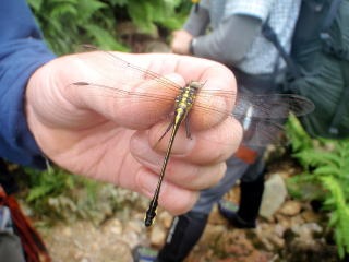 2012.8.11-14 和賀・生保内川(沢登り)