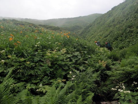2012.8.11-14 和賀・生保内川(沢登り)