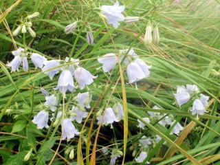 2012.8.11-14 和賀・生保内川(沢登り)