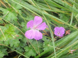 2012.8.11-14 和賀・生保内川(沢登り)