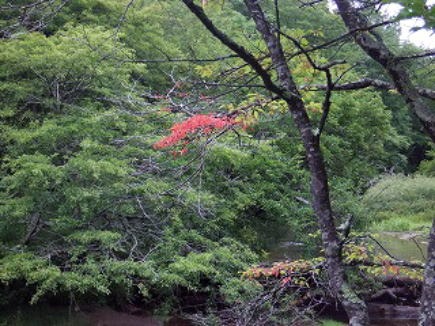 2012.9.2 日光・戦場ヶ原(その他)
