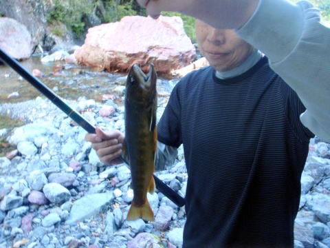 2012.9.15-17 南ア・赤石沢(沢登り)
