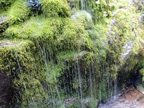 2012.9.15-17 南ア・赤石沢(沢登り)