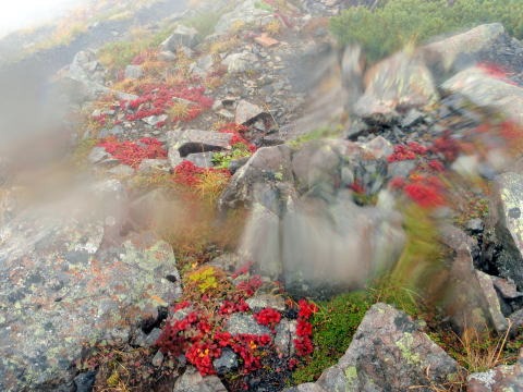 2012.9.15-17 南ア・赤石沢(沢登り)