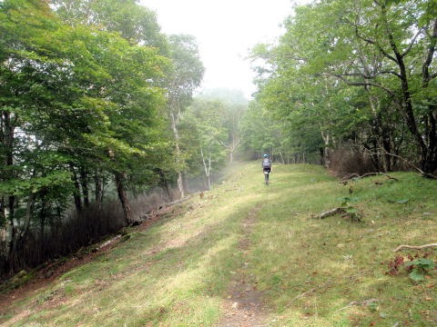 2012.9.22 峰谷川茂窪谷(沢登り)