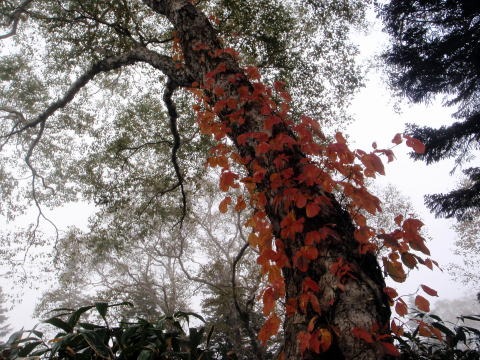 2012.10.6-8 ヘイズル沢(沢登り)