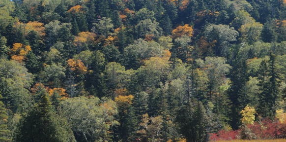 2012.10.6-8 ヘイズル沢(沢登り)