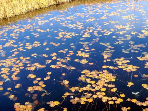 2012.10.6-8 ヘイズル沢(沢登り)