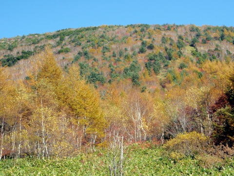 2012.10.21 烏帽子岳(労山バスハイク)(イベント)