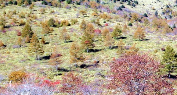 2012.10.21 烏帽子岳(労山バスハイク)(イベント)