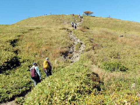 2012.10.21 烏帽子岳(労山バスハイク)(イベント)