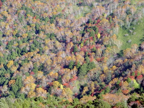 2012.10.21 烏帽子岳(労山バスハイク)(イベント)