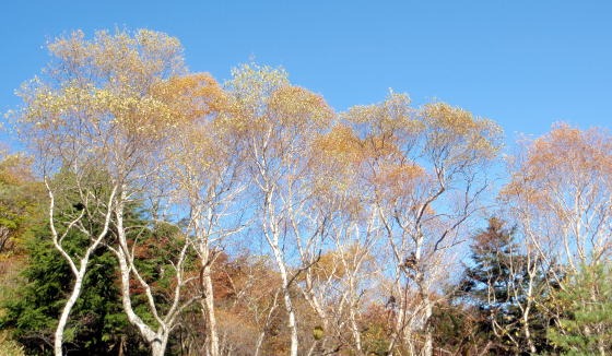 2012.10.21 烏帽子岳(労山バスハイク)(イベント)