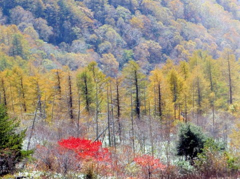 2012.10.21 烏帽子岳(労山バスハイク)(イベント)