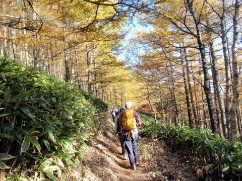 2012.10.21 烏帽子岳(労山バスハイク)(イベント)