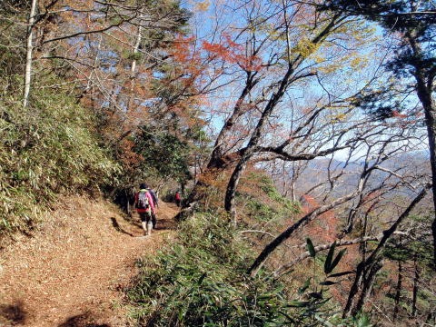 2012.11.4 サカリ山(尾根歩き)