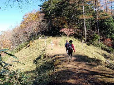 2012.11.4 サカリ山(尾根歩き)