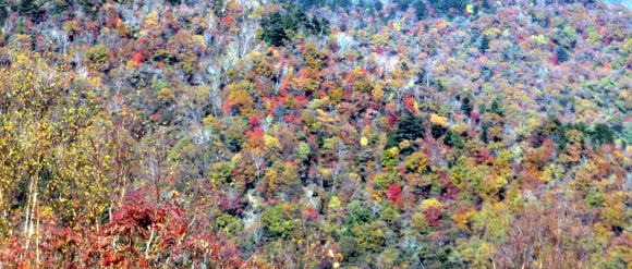 2012.11.4 サカリ山(尾根歩き)