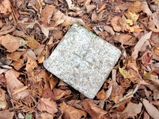 2012.11.4 サカリ山(尾根歩き)