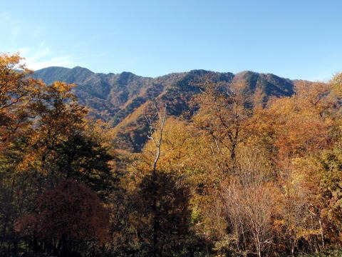2012.11.4 サカリ山(尾根歩き)
