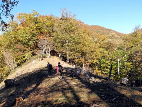 2012.11.4 サカリ山(尾根歩き)