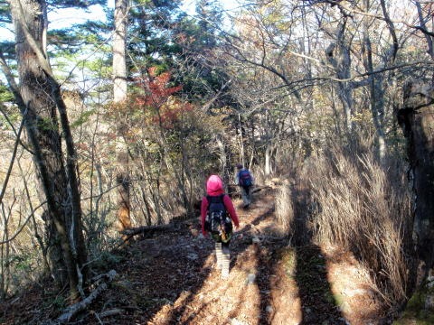 2012.11.4 サカリ山(尾根歩き)