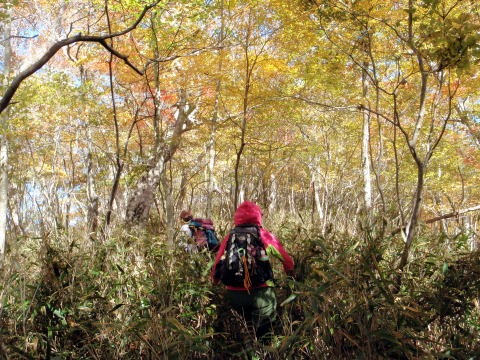 2012.11.4 サカリ山(尾根歩き)