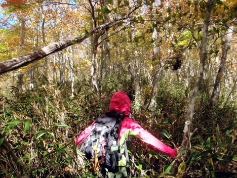 2012.11.4 サカリ山(尾根歩き)