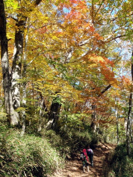 2012.11.4 サカリ山(尾根歩き)