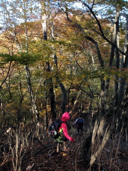 2012.11.4 サカリ山(尾根歩き)