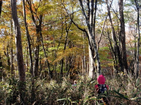 2012.11.4 サカリ山(尾根歩き)