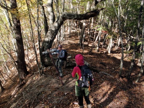 2012.11.4 サカリ山(尾根歩き)