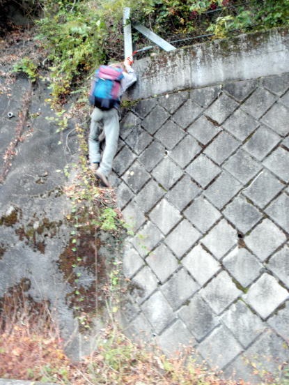 2012.11.4 サカリ山(尾根歩き)