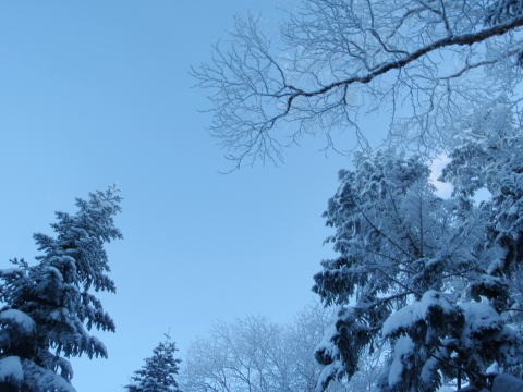 2012.12.23-24　天狗岳西尾根（雪山）