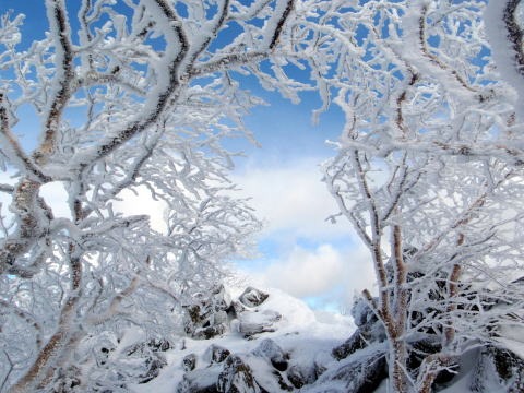 2012.12.23-24　天狗岳西尾根（雪山）