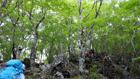 2019.5.26　源次郎沢（沢登り）