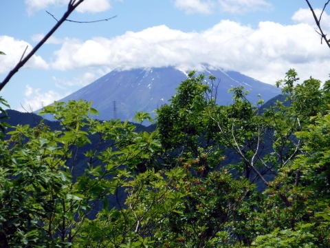 2019.6.16 笹子雁ヶ腹山(尾根歩き)