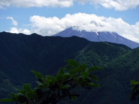 2019.6.16 笹子雁ヶ腹山(尾根歩き)