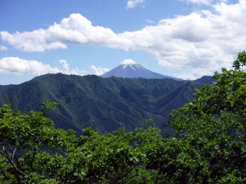 2019.6.16 笹子雁ヶ腹山(尾根歩き)
