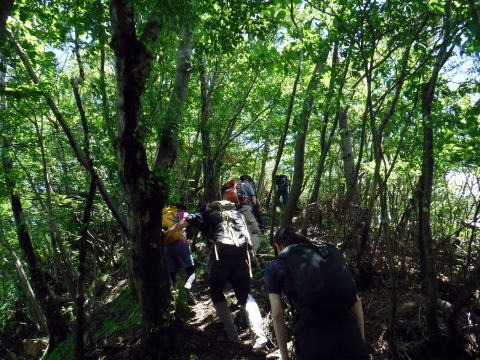 2019.6.16 笹子雁ヶ腹山(尾根歩き)