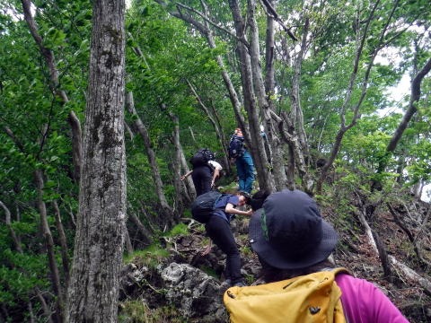 2019.6.16 笹子雁ヶ腹山(尾根歩き)