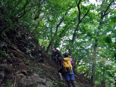 2019.6.16 笹子雁ヶ腹山(尾根歩き)