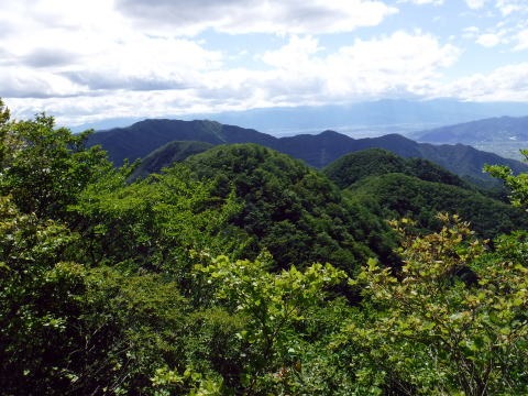 2019.6.16 笹子雁ヶ腹山(尾根歩き)