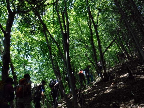 2019.6.16 笹子雁ヶ腹山(尾根歩き)