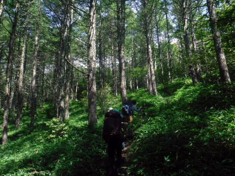 2023.7.29-30　八ヶ岳 権現岳（尾根歩き）